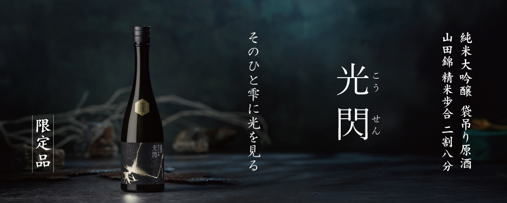 光閃1000-400